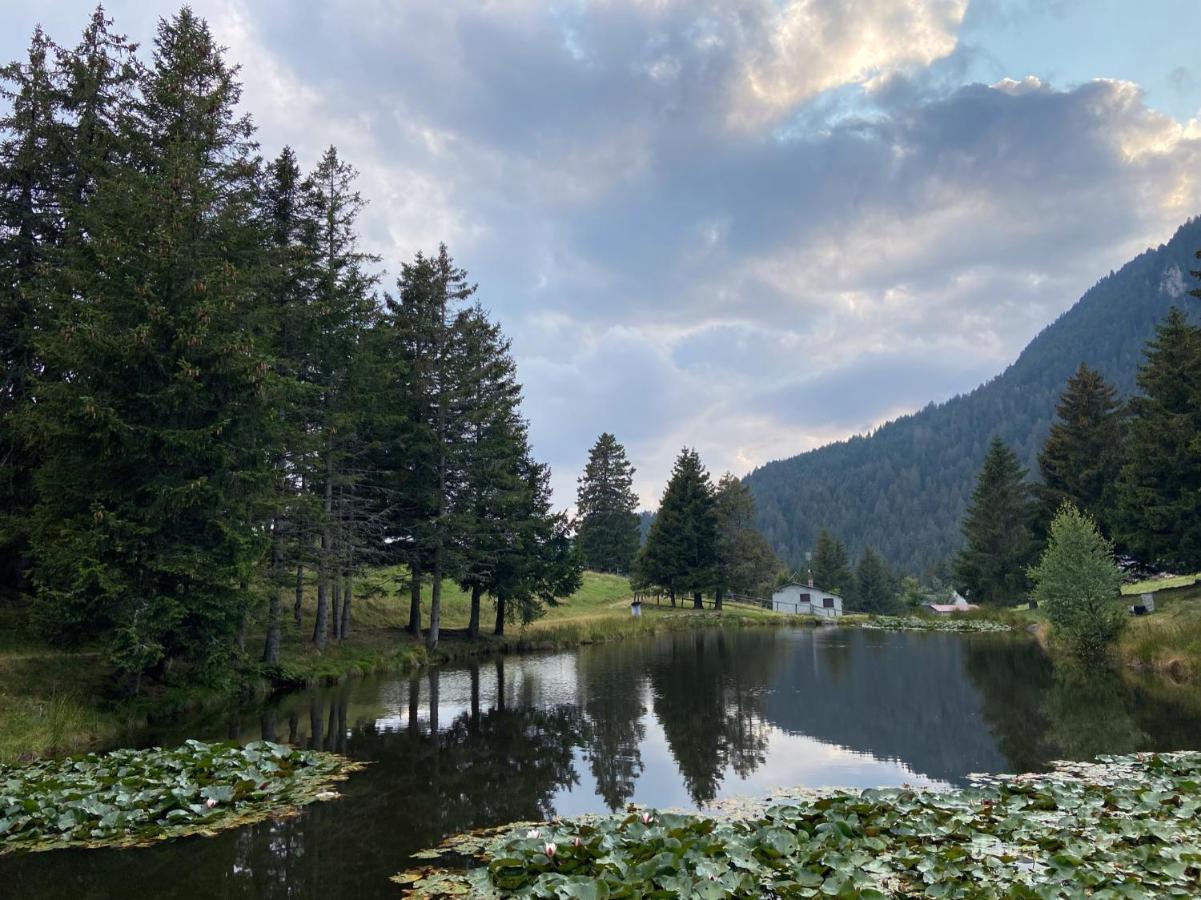 Do-Minus Boutique Home & Private Spa Ca Pedrot Mountain Cottage Monte Carasso Zewnętrze zdjęcie