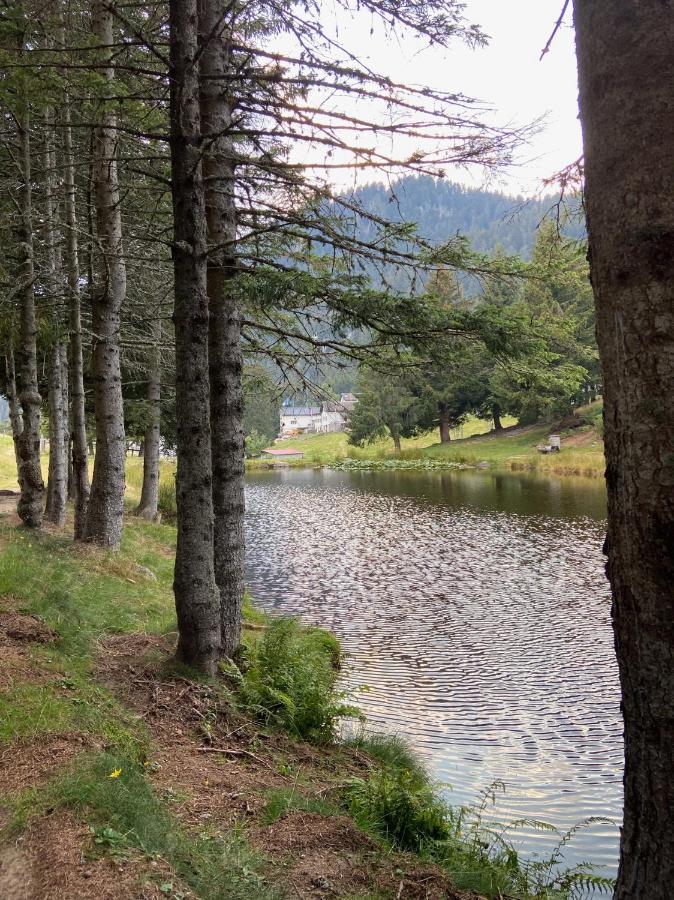 Do-Minus Boutique Home & Private Spa Ca Pedrot Mountain Cottage Monte Carasso Zewnętrze zdjęcie