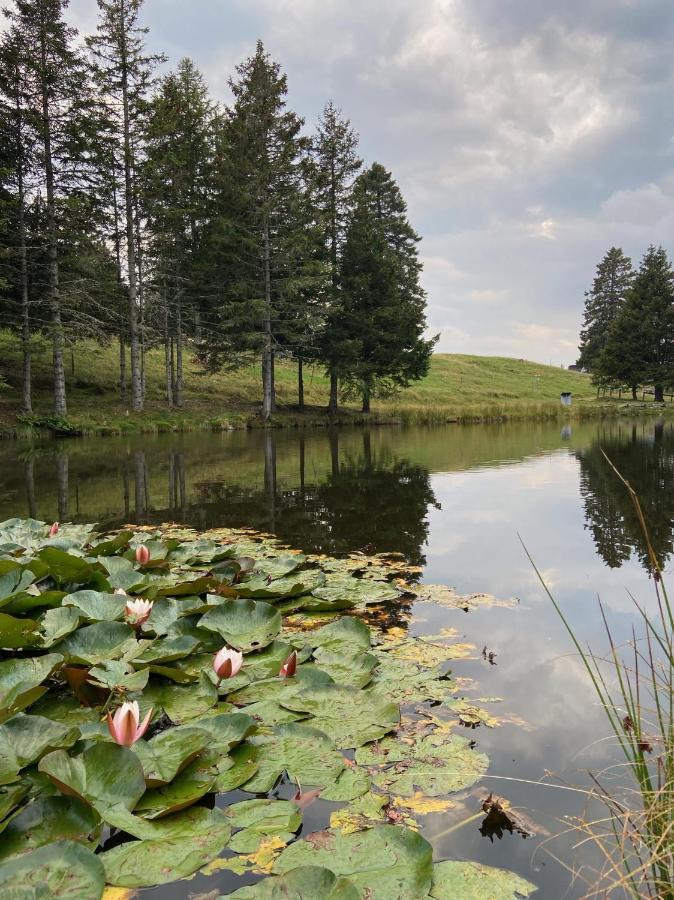 Do-Minus Boutique Home & Private Spa Ca Pedrot Mountain Cottage Monte Carasso Zewnętrze zdjęcie