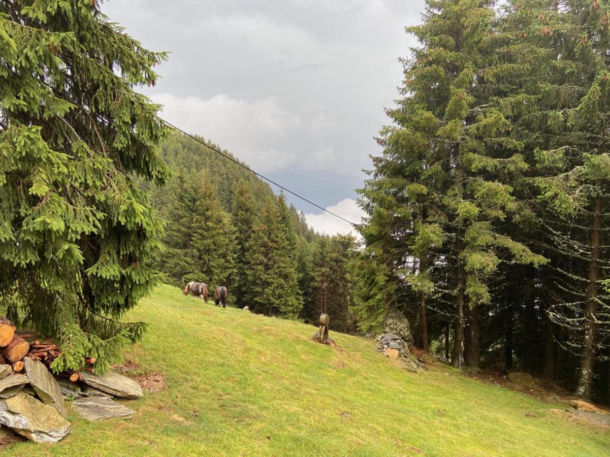 Do-Minus Boutique Home & Private Spa Ca Pedrot Mountain Cottage Monte Carasso Zewnętrze zdjęcie